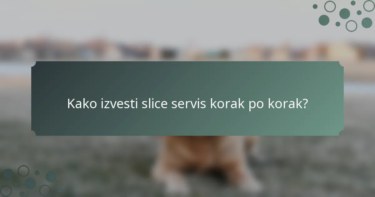 Kako izvesti slice servis korak po korak?