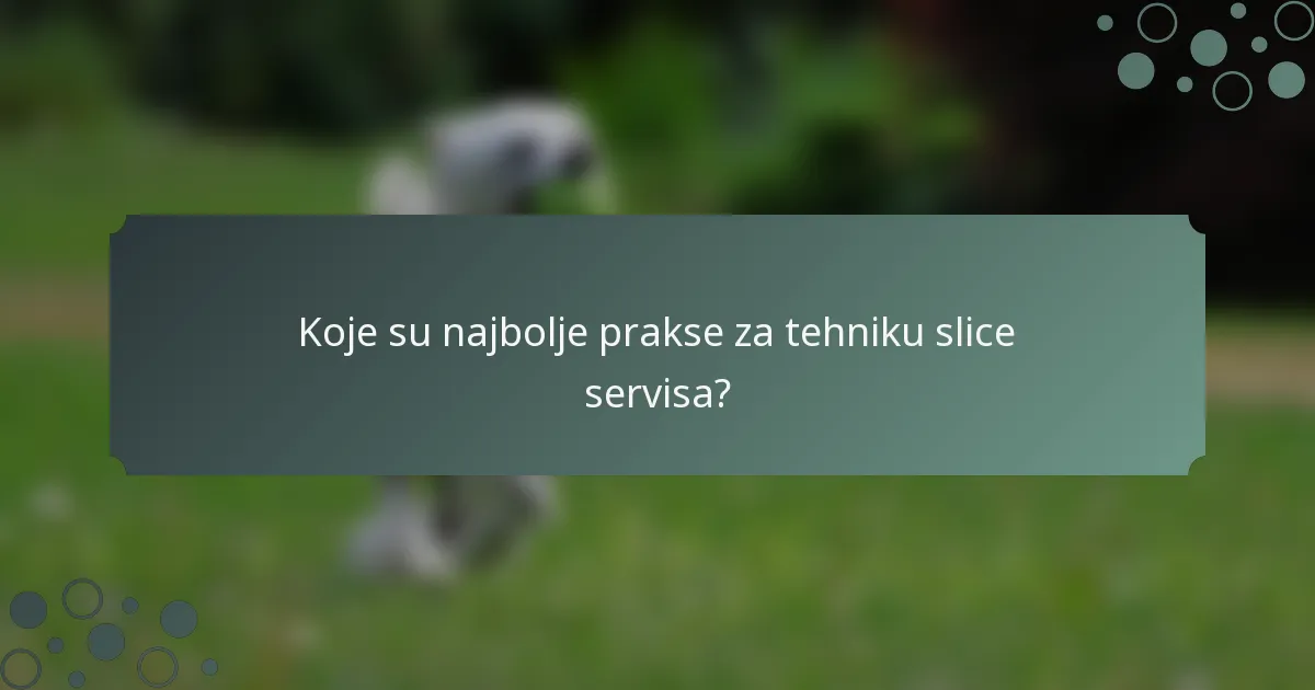 Koje su najbolje prakse za tehniku slice servisa?