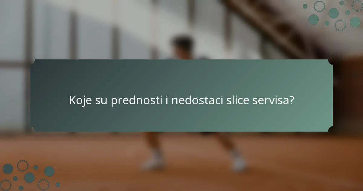 Koje su prednosti i nedostaci slice servisa?